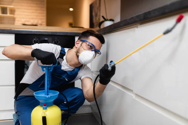 Best Affordable Pest Control Services  in Holly Hill, SC