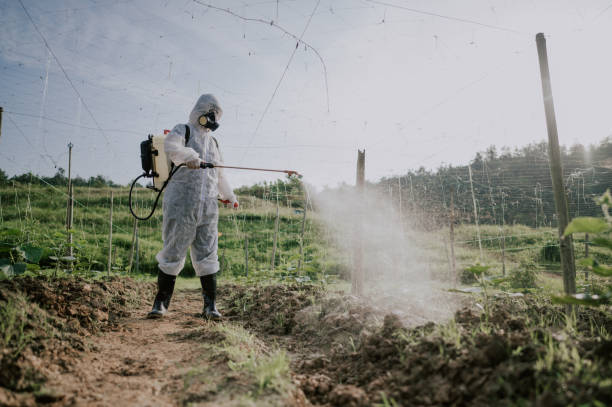 Best Commercial Pest Control Services  in Holly Hill, SC