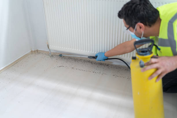 Best Mosquito Control Services  in Holly Hill, SC