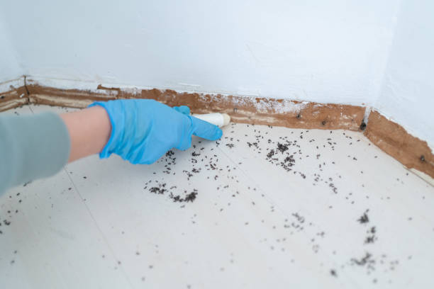 Best Pest Removal Services  in Holly Hill, SC