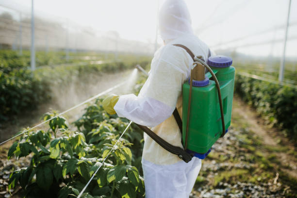 Professional Pest Control in Holly Hill, SC